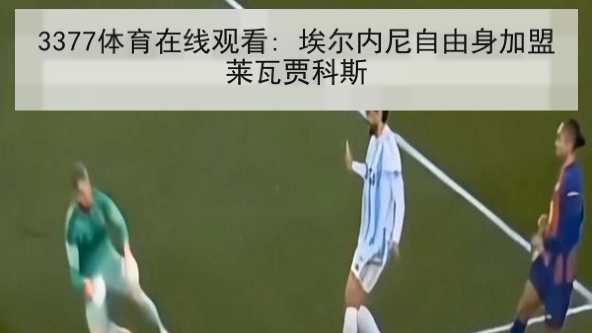 3377体育在线观看: 埃尔内尼自由身加盟莱瓦贾科斯
