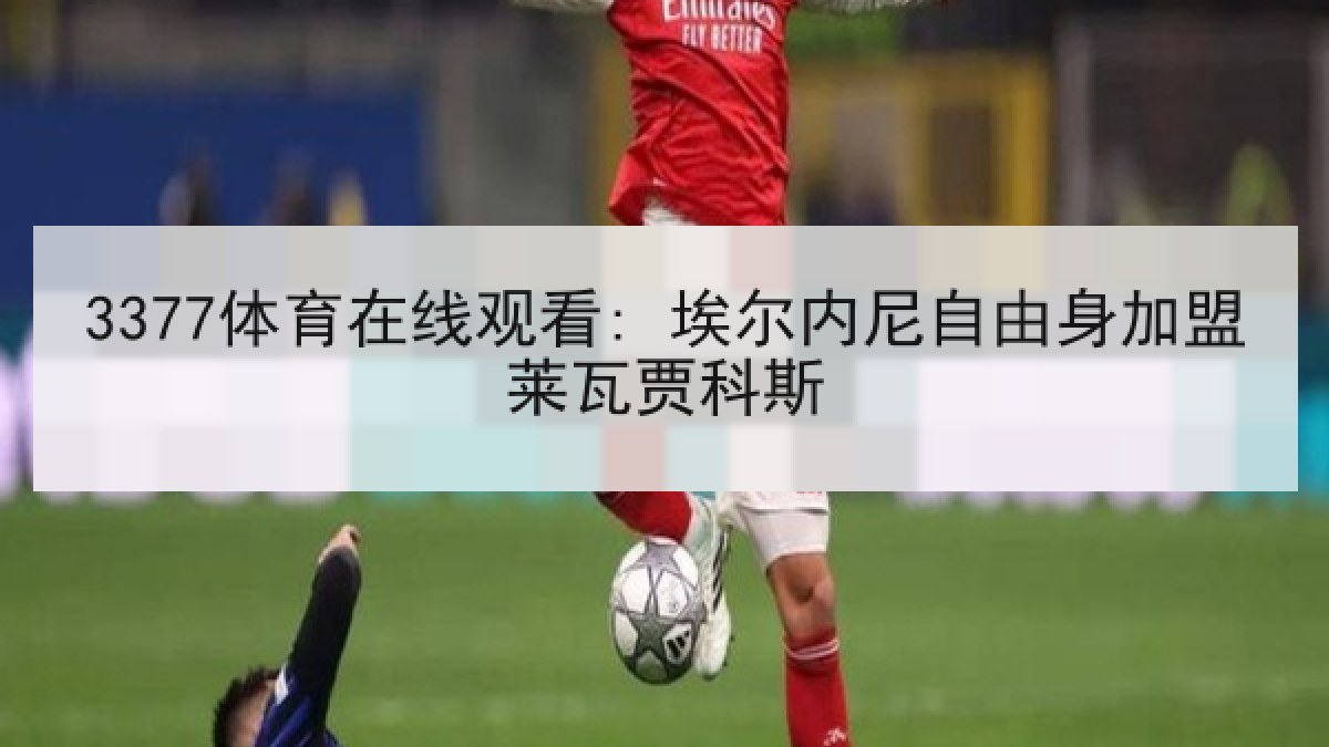 3377体育在线观看: 埃尔内尼自由身加盟莱瓦贾科斯